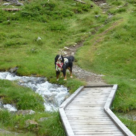 B&B,Bergheimat Oase Irschen ภายนอก รูปภาพ