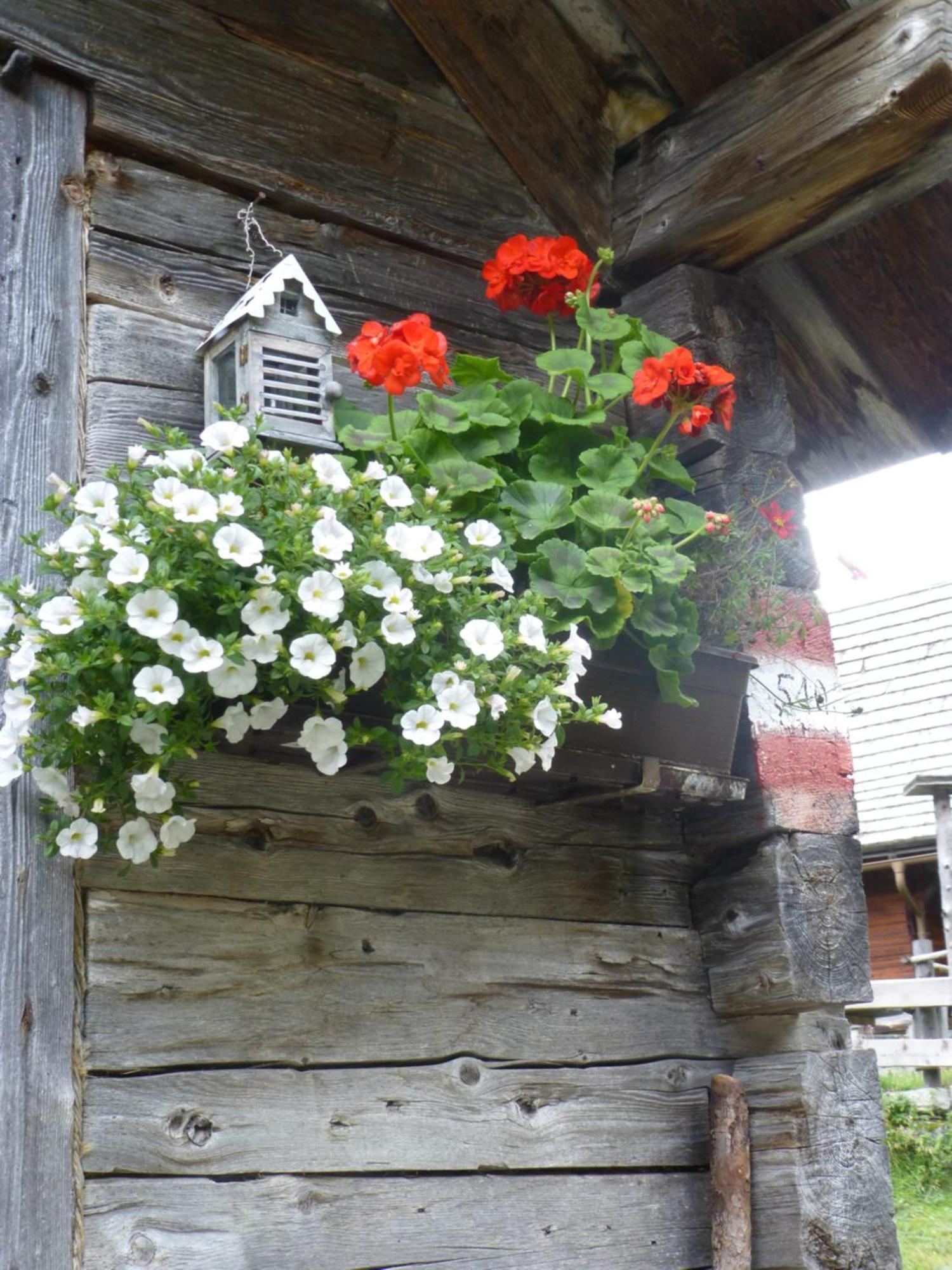 B&B,Bergheimat Oase Irschen ภายนอก รูปภาพ