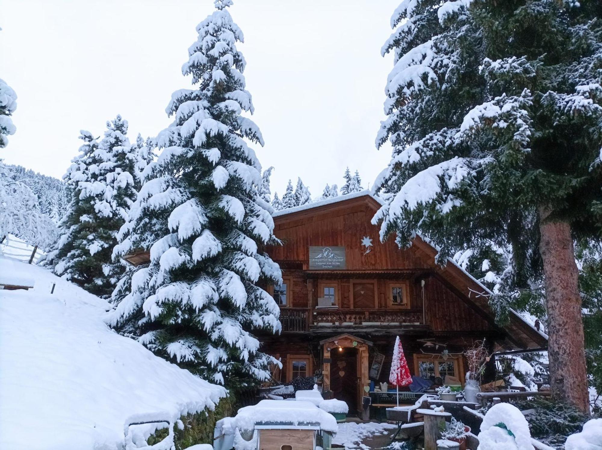 B&B,Bergheimat Oase Irschen ภายนอก รูปภาพ
