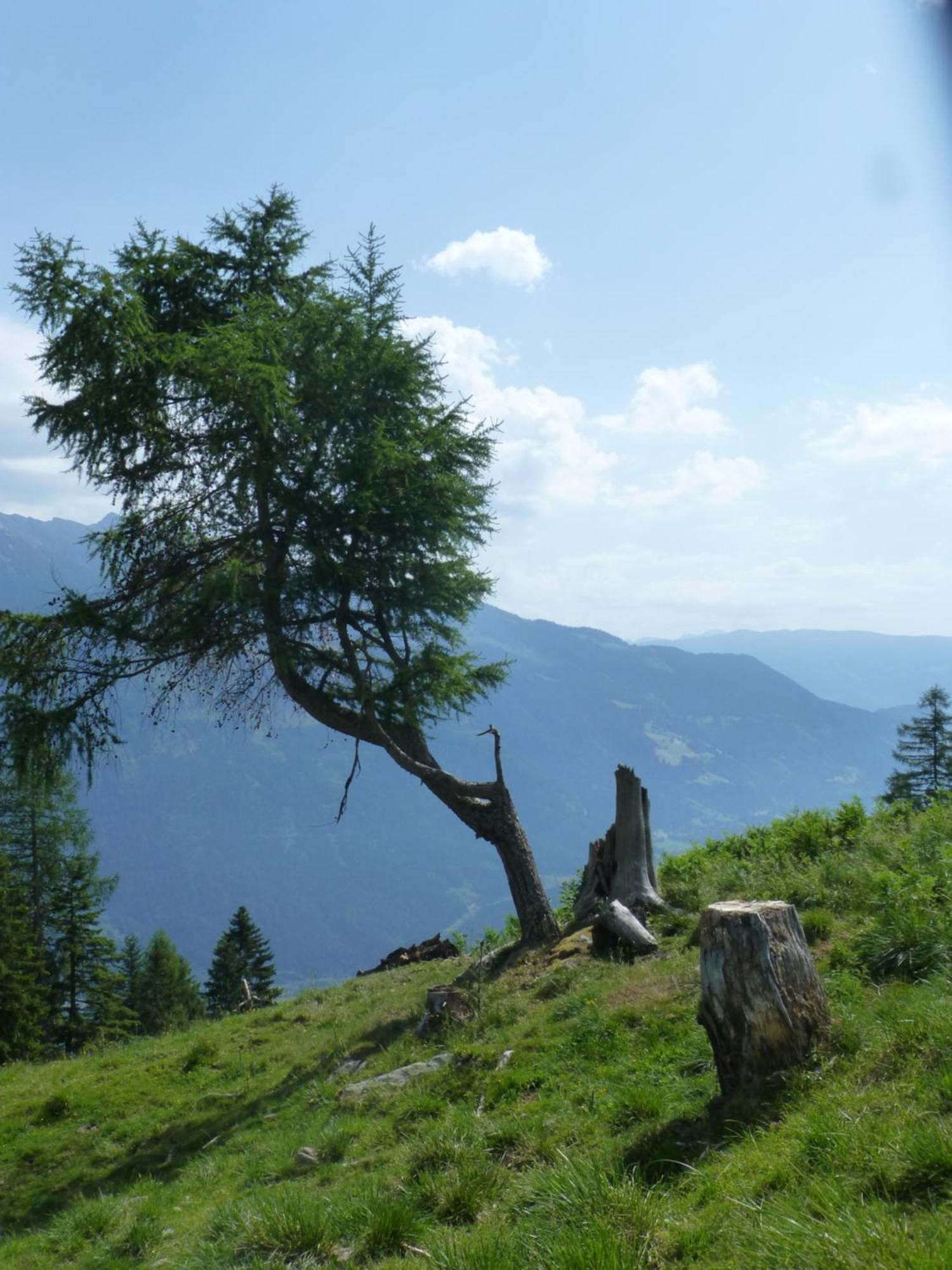 B&B,Bergheimat Oase Irschen ภายนอก รูปภาพ