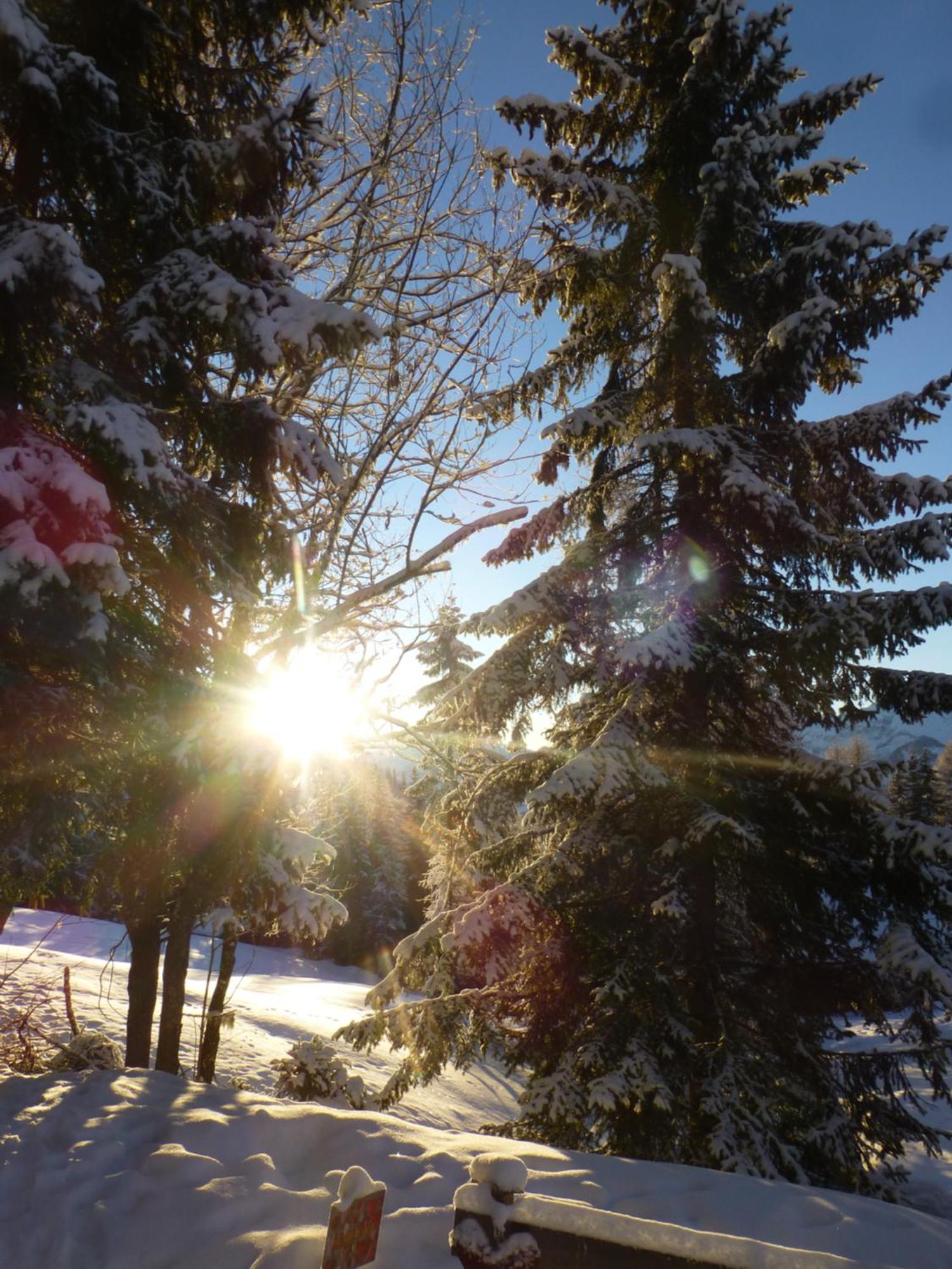 B&B,Bergheimat Oase Irschen ภายนอก รูปภาพ