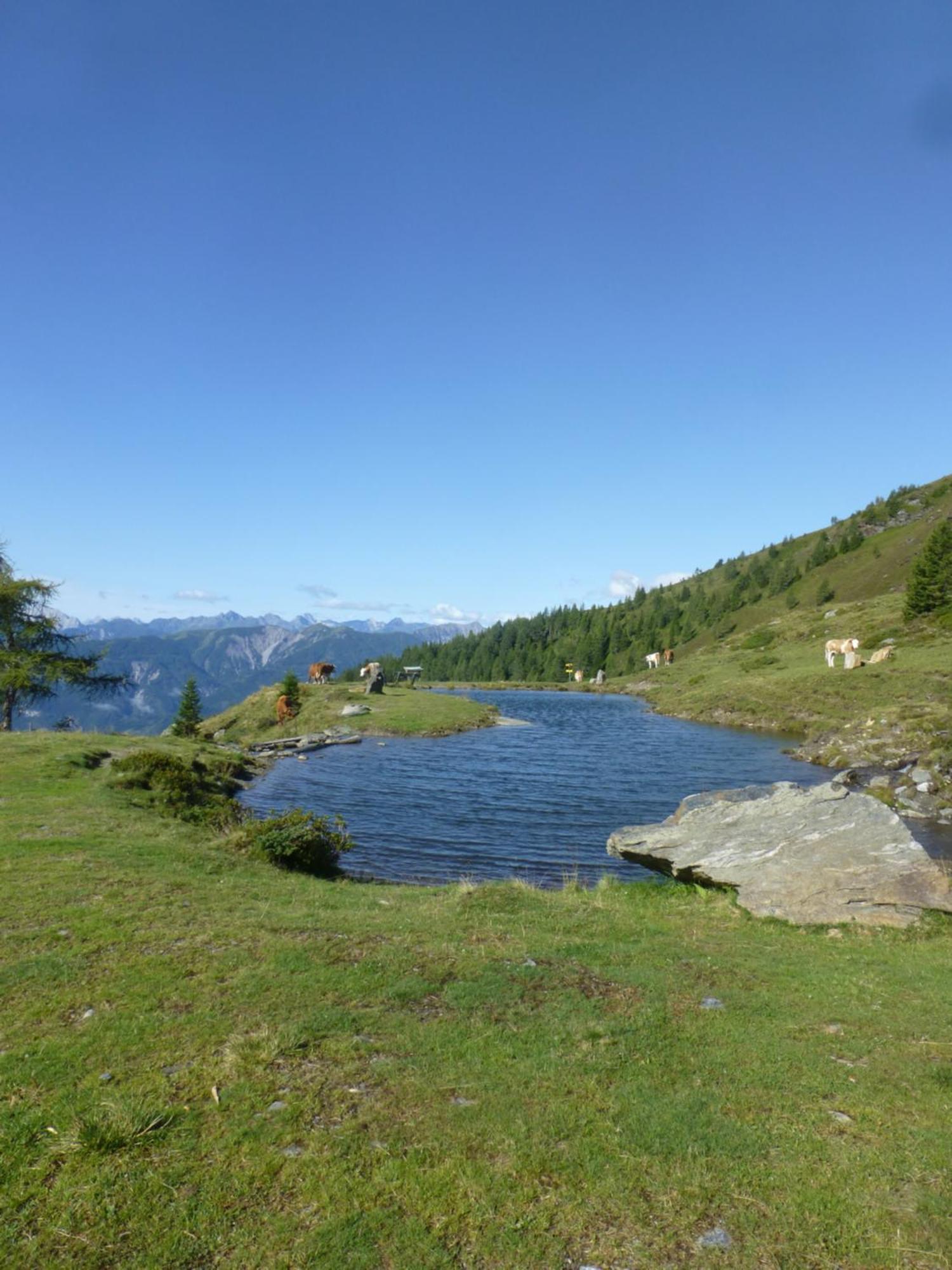 B&B,Bergheimat Oase Irschen ภายนอก รูปภาพ